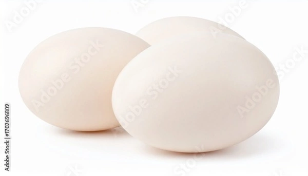 Fototapeta Duck Eggs on Isolated White Background – Large Creamy Shells with Glossy Surface and Full Depth of Field