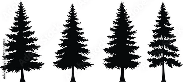 Fototapeta Pine tree silhouette, evergreen tree clipart, black tree vector, forest tree design, conifer tree image, nature tree illustration, seasonal tree art