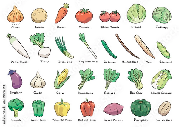 Obraz 手描きの野菜のセット_名称入(英語)
