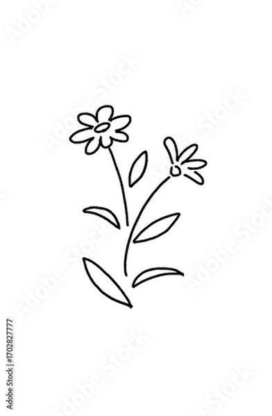 Obraz シンプルな花の線画イラスト