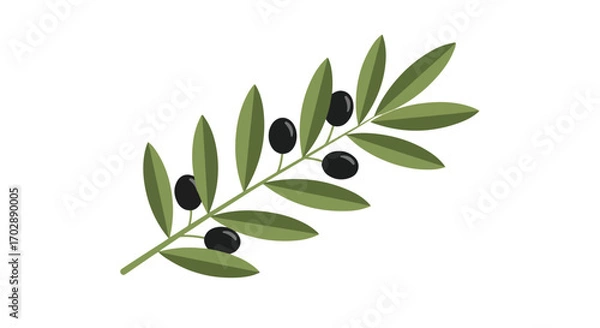 Obraz Stylized olive branch illustration with fresh green leaves and ripe black fruits on a plain background