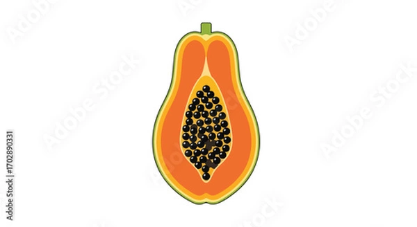 Fototapeta Vibrant vector illustration displaying the inner textures and seed arrangement of a ripe papaya fruit in vivid details