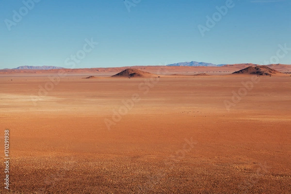 Obraz Namibia desert, Veld, Namib 