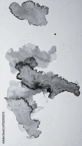 Obraz Abstract Ink Wash Background with Dark Shapes and Delicate Texture Design on White