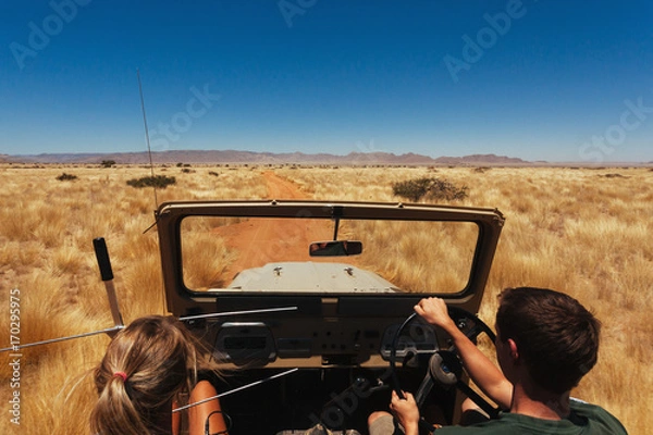 Obraz Namibia desert, Veld, Namib 