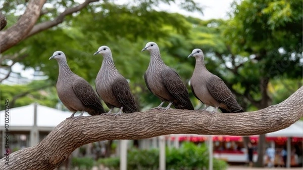 Fototapeta Four Gray Birds Sitting on a Tree Branch in a Lush Green Park Setting with Soft Light Background