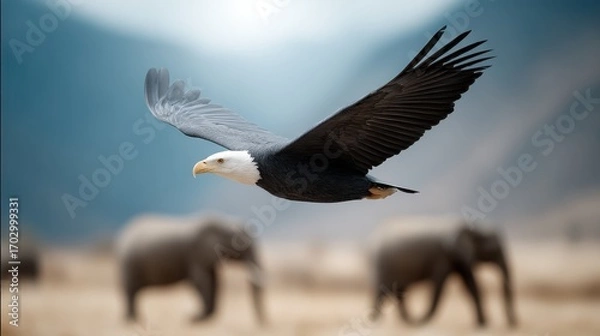 Fototapeta Majestic Eagle in Flight Over Elephant Herd in Natural Habitat with Soft Blurred Background and Mountains