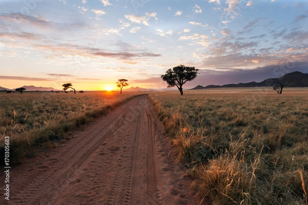 Obraz Namibia desert , Veld , Namib 