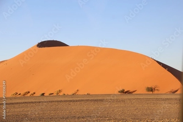 Obraz düne 45 - namibia - afrika