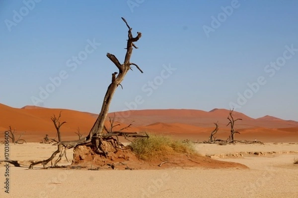 Obraz wüste - Namibia