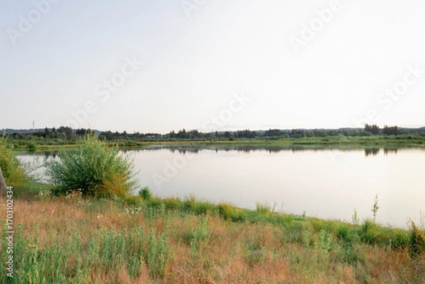 Fototapeta Wetland area with large still body of water reflecting some small tress in the distance.