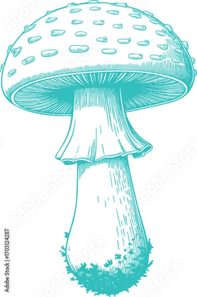Fototapeta Vintage Teal Fly Agaric Mushroom Illustration Graphic. A Rustic Nature-themed Design for Cottagecore