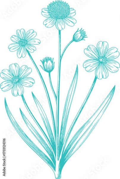 Fototapeta Vintage Teal White Wood-sorrel Wildflowers Illustration Graphic. A Rustic Nature-themed Design for a Cottagecore Vibe