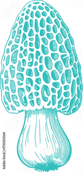 Fototapeta Vintage Teal Morel Mushrooms Illustration. A Rustic Nature-themed Design for a Cozy Scene
