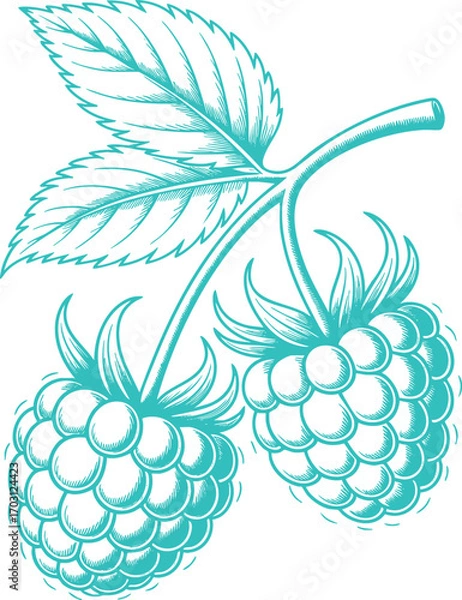 Fototapeta Vintage Teal Raspberries Twig Illustration Graphic. A Rustic Nature-themed Design for Cottagecore