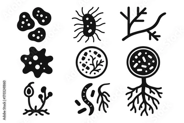 Obraz Culture nematode icon fungal branching microbes amoeba vector hypha soil bacterial