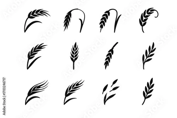 Obraz Grain uneven vector element segment sprig icon barley silhouette scattered wild