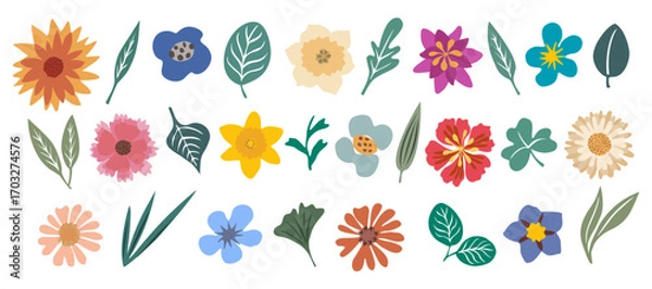 Fototapeta Set of hand-drawn floral design elements with wildflowers, garden blooms, leaves, and abstract shapes. Modern botanical vector illustrations in trendy colors, isolated for creative projects