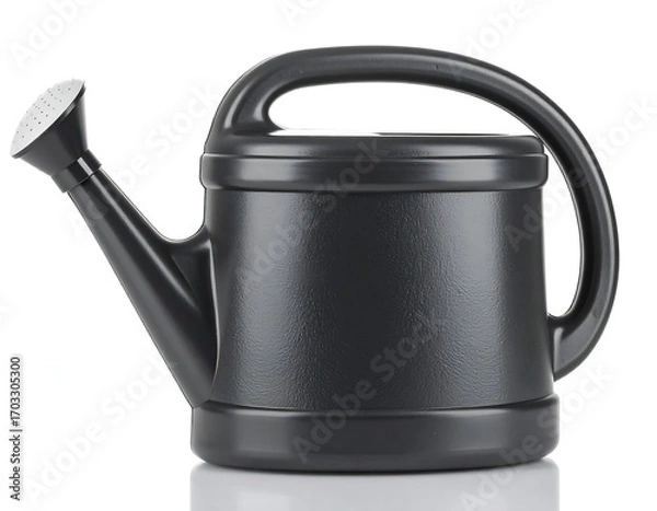 Obraz Black plastic watering can