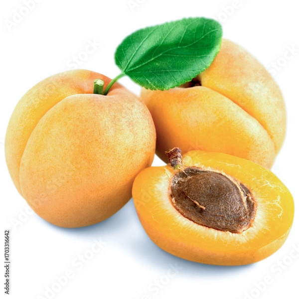 Obraz apricots isolated on white background