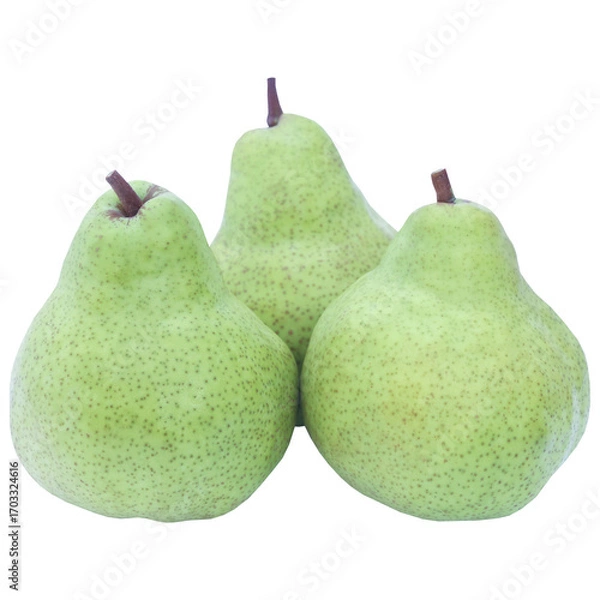 Obraz pear on white background
