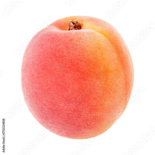 Obraz peach on white background