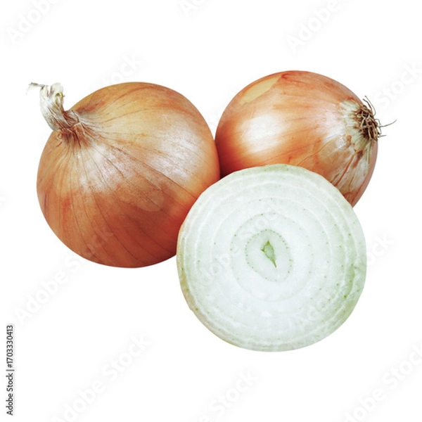 Obraz onion isolated on white