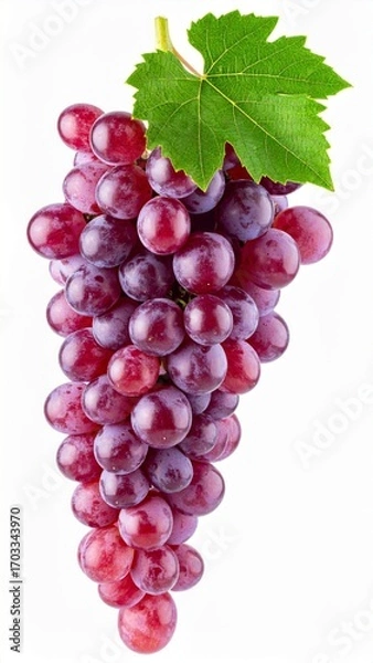 Fototapeta Macro Shot of a Bunch of Red Grapes with a Green Leaf on a White Background