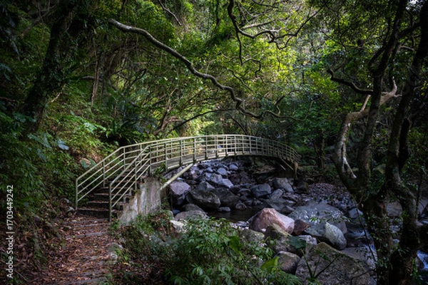 Obraz Beautiful trail with bridge across river hidden in the forest, in New Taipei City, Taiwan.
