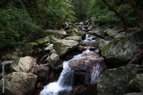 Obraz River full of huge rocks hidden in the forest, and water flows between stone, in New Taipei City, Taiwan.