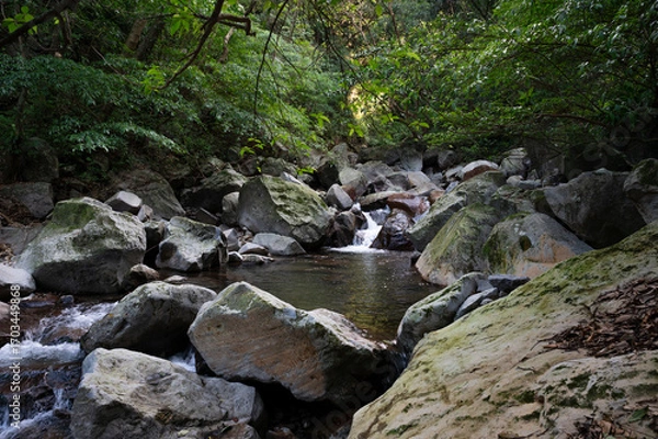 Obraz River full of huge rocks hidden in the forest, and water flows between stone, in New Taipei City, Taiwan.