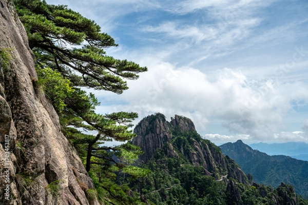 Obraz Beautiful view on the trail of Mount Huangshan, gorgeous rocks and strange pine in the mountain, in Anhui Province, China.