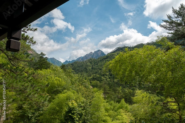 Obraz Beautiful view on the trail of Mount Huangshan, gorgeous rocks and strange pine in the mountain, in Anhui Province, China.