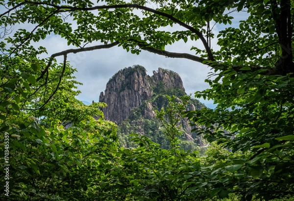Obraz Beautiful view on the trail of Mount Huangshan, gorgeous rocks and strange pine in the mountain, in Anhui Province, China.