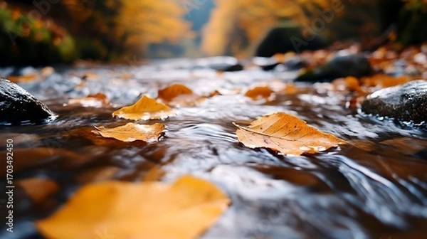 Fototapeta A serene and tranquil stream in an autumn forest with vibrant orange yellow and brown leaves floating on the calm reflective water surface