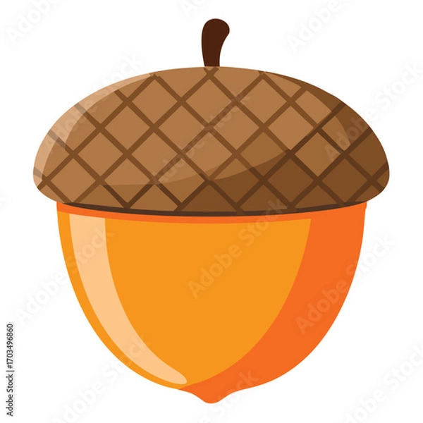 Fototapeta Single Acorn with Textured Cap on White Background