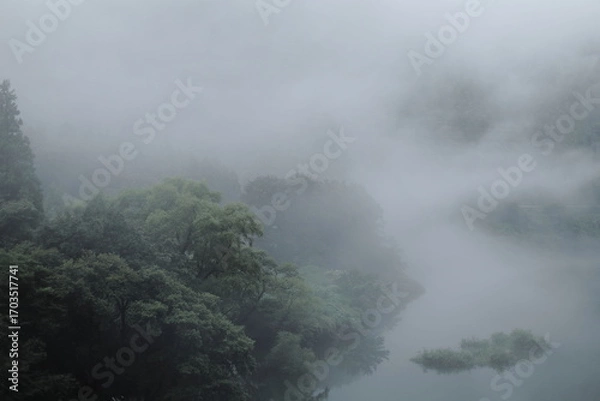 Fototapeta 霧がかかっている岐阜県揖斐川町の森と川