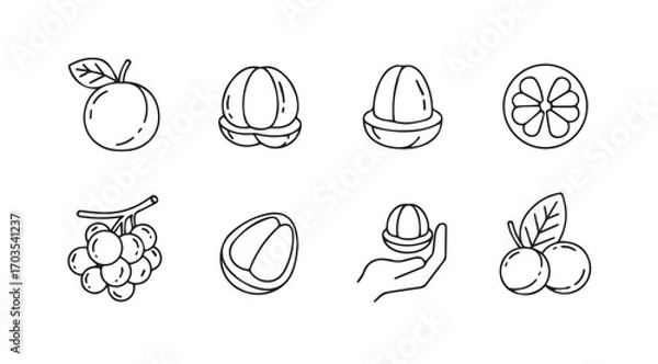 Fototapeta Collection of various fruits and berries in a distinctive silhouette style