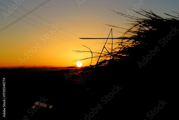 Fototapeta 夜明けの岐阜県池田町の藁のシルエット