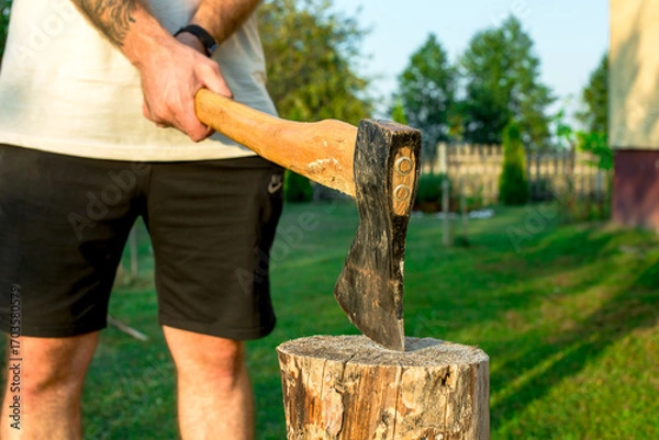 Fototapeta Lumberjack in overalls splitting large log with axe in green summer forest, man holding tool stuck in wood stump surrounded and birch trees during outdoor manual work. Harvesting of firewood