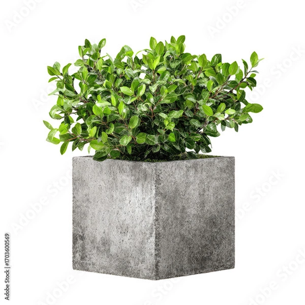 Obraz Greenery in a light gray square planter
