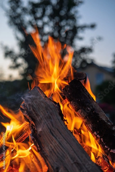 Obraz Brennende Holzscheite eines Lagerfeuers