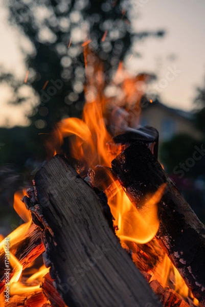 Obraz Brennende Holzscheite eines Lagerfeuers