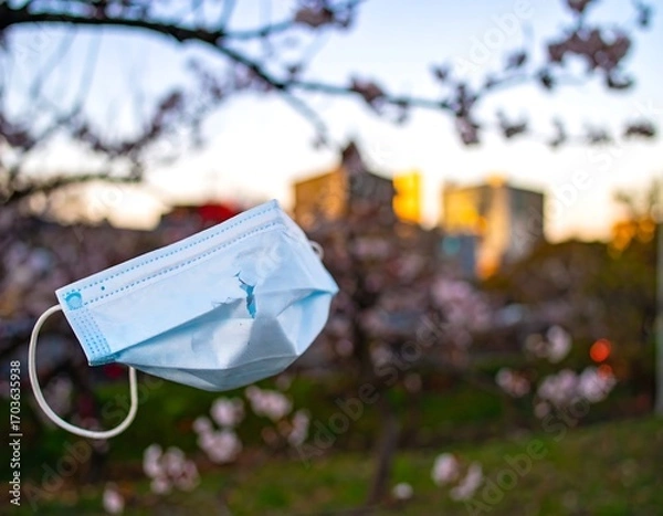 Fototapeta Disposable mask hanging from a tree branch