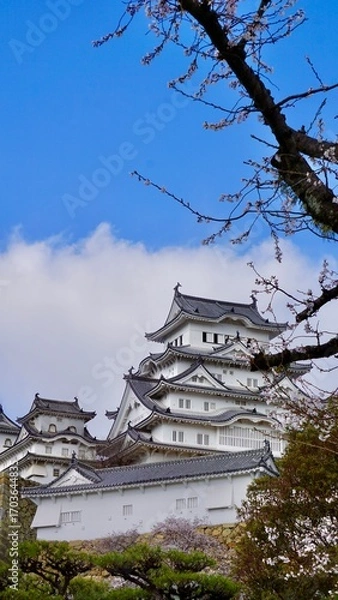 Obraz Himeji castle view from garden grounds