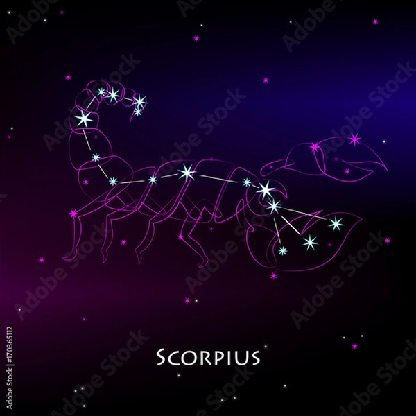 Fototapeta Constellation scorpius. Scorpio - constellations of the zodiac and the astrological sign against the backdrop of night starry sky. Vector illustration on a dark background