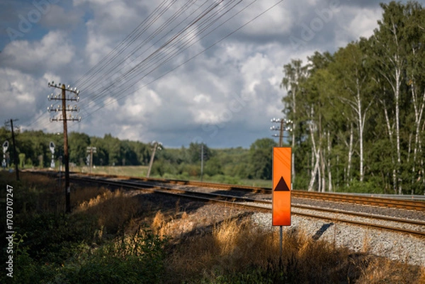 Obraz Old railroad tracks