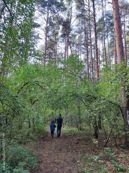 Fototapeta Father and son walking through a forest path surrounded by trees  