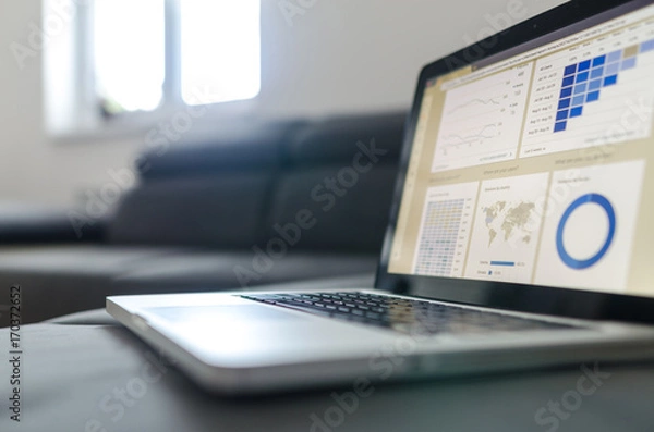 Obraz Notebook work with statistics on sofa business