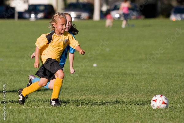 Fototapeta Running to the Ball
